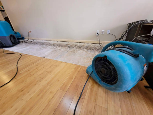 Professional Flood Damage Cleanup technician working in Hyde Park, MA